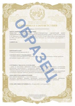 Образец Сертификат СТО 01.064.00220722.2-2020 Орлов Сертификат СТО 01.064.00220722.2-2020 